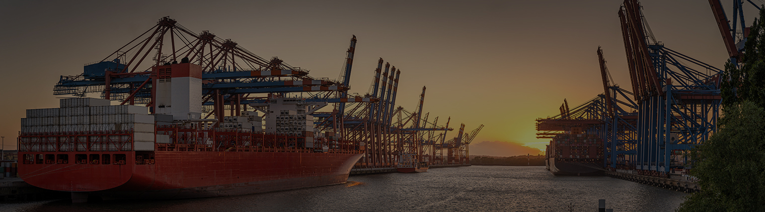 Liner & NVOCC Agencies