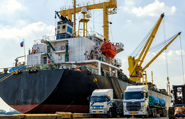 Liner and NVOCC Agencies