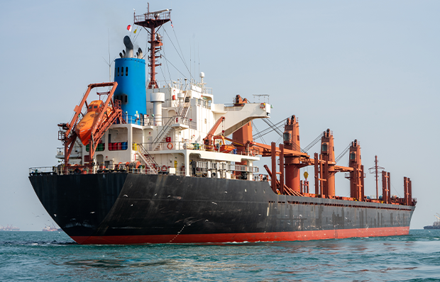 Liner & Tramper Services