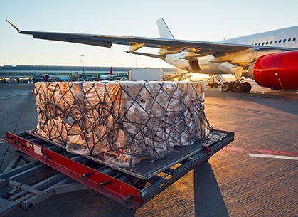 Air freight services